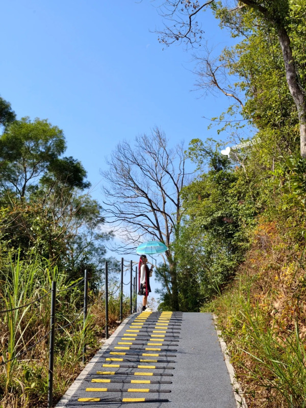 深圳小眾徒步景點！龍崗隱世環山綠道俯瞰水庫絕景！2.15公里輕鬆行、通往天空的「AI之眼」 