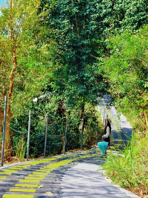深圳小眾徒步景點！龍崗隱世環山綠道俯瞰水庫絕景！2.15公里輕鬆行、通往天空的「AI之眼」 