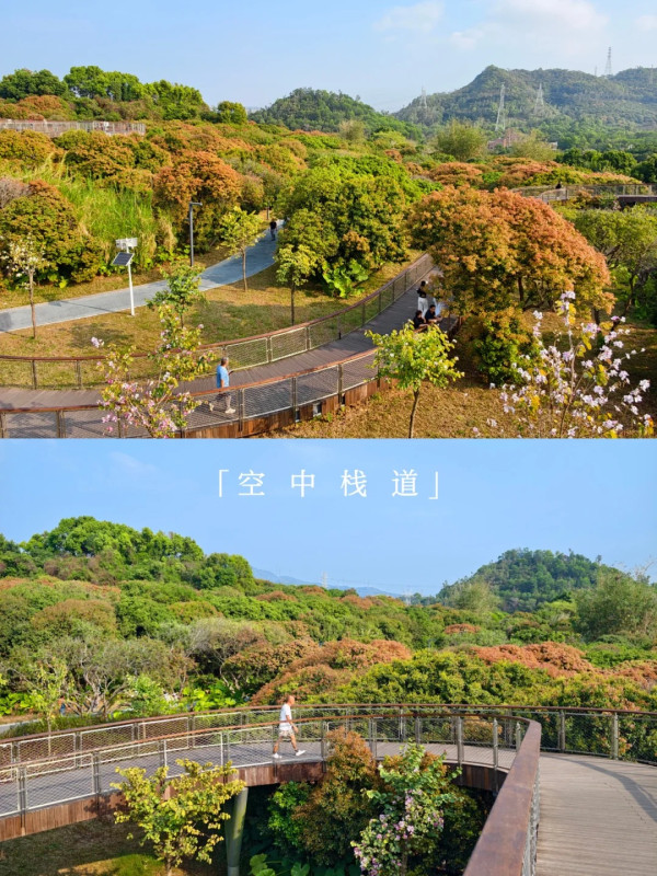小紅書@咸鱼游啊游