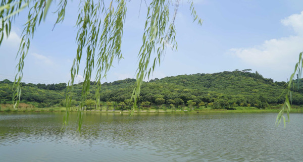 深圳市城市管理與綜合執法局 深圳市城市管理與綜合執法局