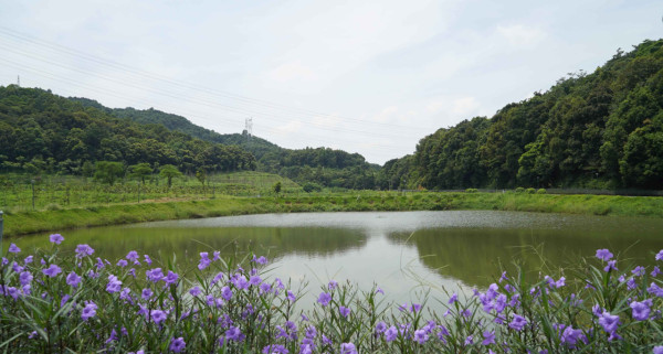 深圳市城市管理與綜合執法局 深圳市城市管理與綜合執法局