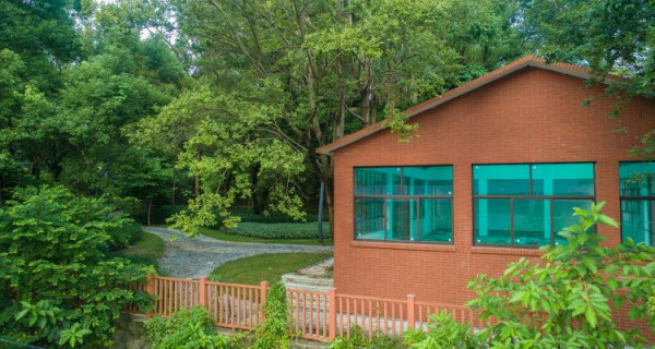 深圳市城市管理與綜合執法局 深圳市城市管理與綜合執法局