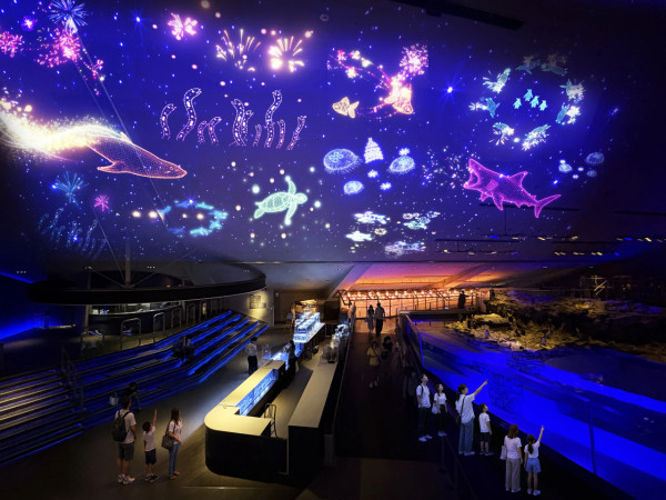 圖片來源:すみだ水族館官網 東京夏日浪漫限定!墨田水族館室內煙火大會!海洋生物煙火投影秀/超夢幻水母風鈴