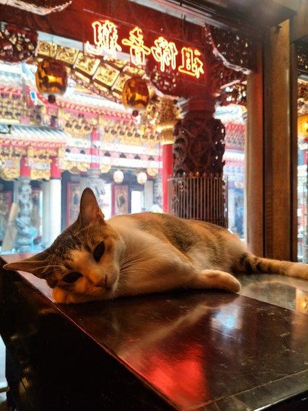 照片來源：三重義天宮官方圖片