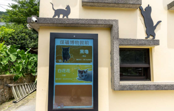 新北市觀光旅遊網