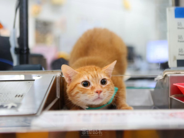 照片來源：Facebook@高雄捷運-蜜柑站長 