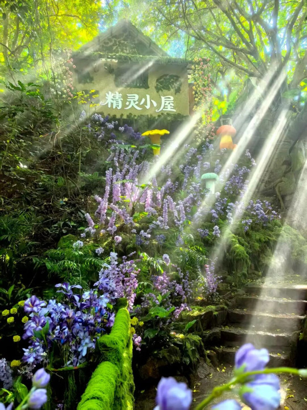 深圳5大景區七夕浪漫約會攻略！限定浪漫氣球雨/夢幻海底晚餐/千燈祈福體驗 