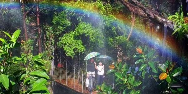 深圳5大景區七夕浪漫約會攻略！限定浪漫氣球雨/夢幻海底晚餐/千燈祈福體驗 