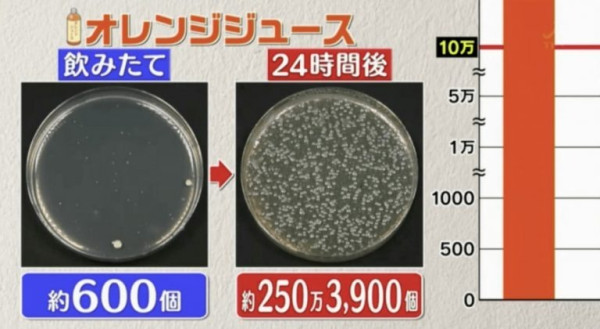 隔夜飲品細菌量｜樽裝飲品擺過夜易生細菌？日本節目實測6款隔夜飲品含菌量排行榜 1款飲品激增8000倍排第1！