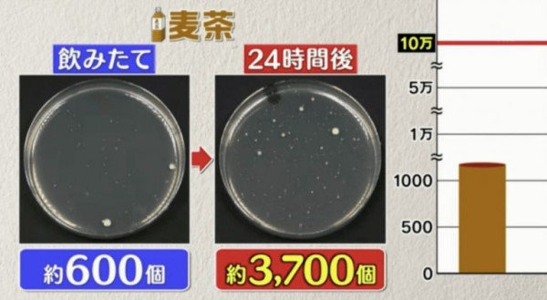 隔夜飲品細菌量｜樽裝飲品擺過夜易生細菌？日本節目實測6款隔夜飲品含菌量排行榜 1款飲品激增8000倍排第1！