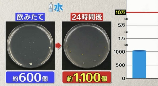隔夜飲品細菌量｜樽裝飲品擺過夜易生細菌？日本節目實測6款隔夜飲品含菌量排行榜 1款飲品激增8000倍排第1！