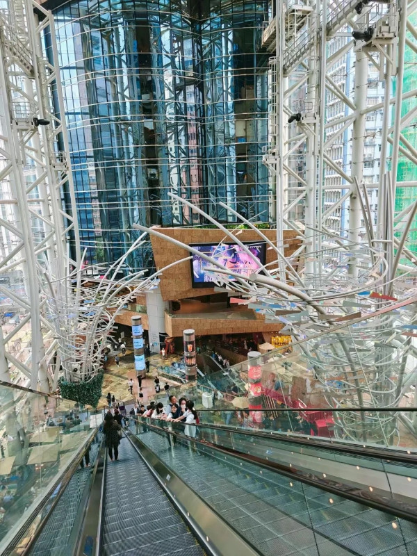 打卡好去處|旺角長電梯變港版Shibuya Sky?網民驚訝 揭九龍灣1地方隱世夜景