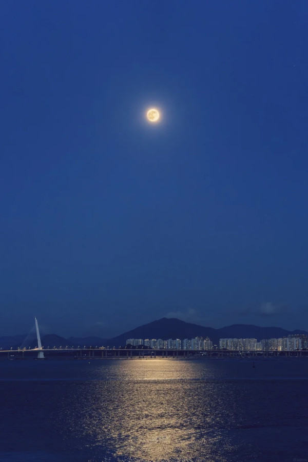 深圳中秋賞月好去處6大推介地鐵直達！沿海公園約會/海上生明月/追月浪漫秘境 