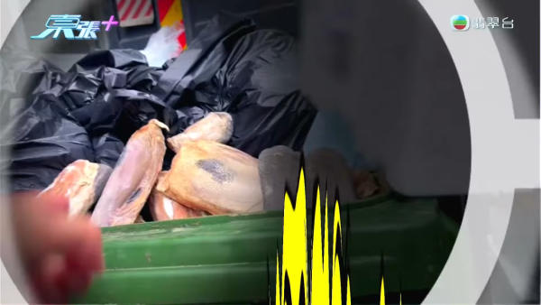 葵涌工廈驚現「過期食材尋寶戰」！大媽垃圾桶密密執三文魚雞翼 專家警告：加熱亦難除毒素恐致命