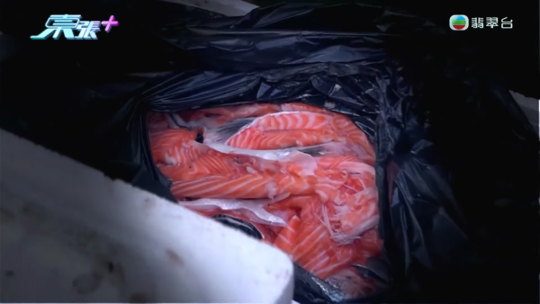 葵涌工廈驚現「過期食材尋寶戰」！大媽垃圾桶密密執三文魚雞翼 專家警告：加熱亦難除毒素恐致命