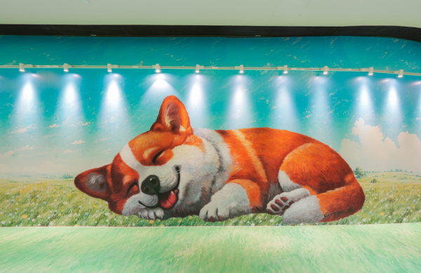 MegaBox 10米巨型柯基登场！免费玩180米高空花园+看限定光影汇演 附演出时间