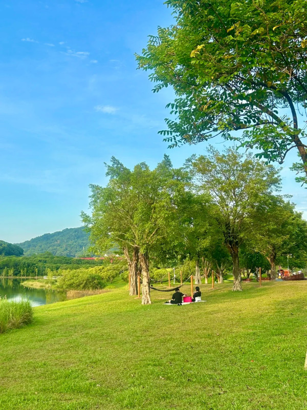 深圳光明區小眾打卡秘景免費入場！混凝土極簡美學×嶺南園林景色 附地址交通 