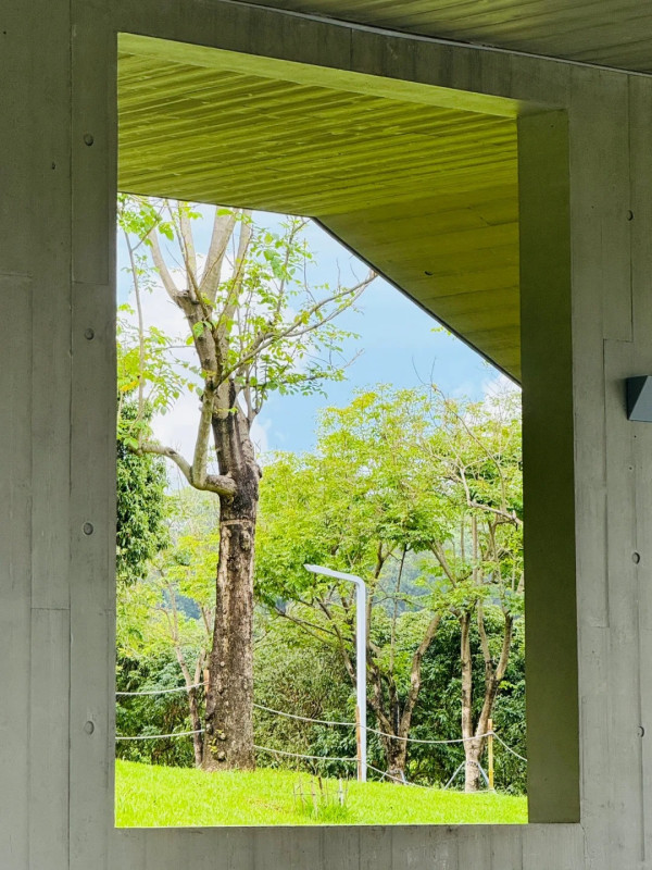 深圳光明區小眾打卡秘景免費入場！混凝土極簡美學×嶺南園林景色 附地址交通 