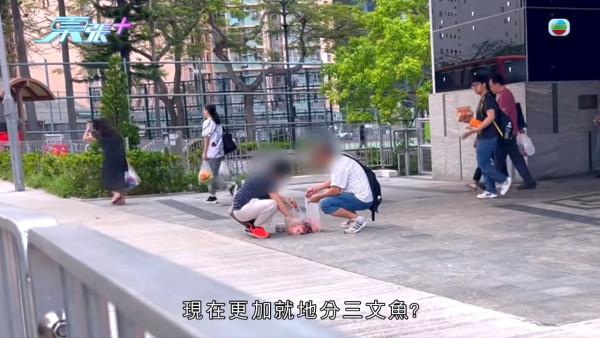 葵涌大媽垃圾桶執三文魚恐流入市面！內情曝光揭驚人真相 食環署急介入