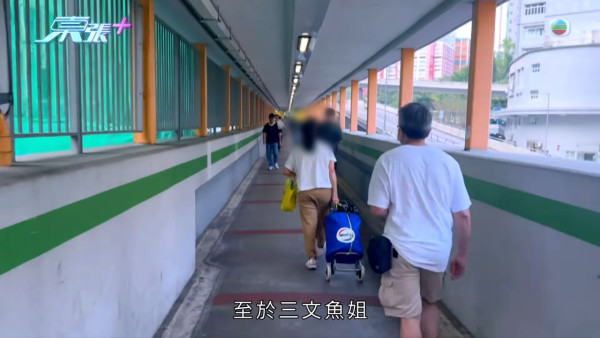 葵涌大媽垃圾桶執三文魚恐流入市面!內情曝光揭驚人真相 食環署急介入
