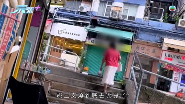 葵涌大媽垃圾桶執三文魚恐流入市面!內情曝光揭驚人真相 食環署急介入