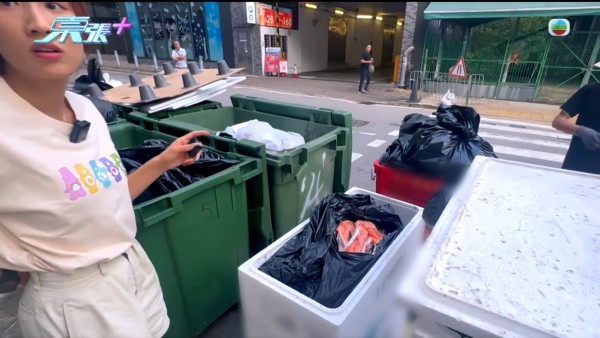 葵涌大媽垃圾桶執三文魚恐流入市面!內情曝光揭驚人真相 食環署急介入