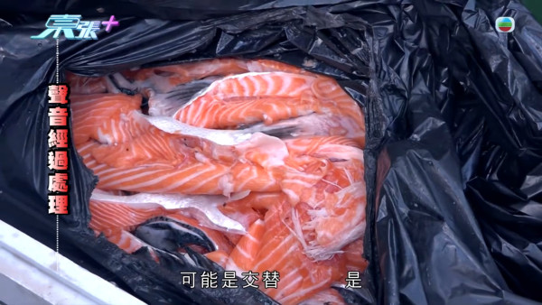 葵涌大媽垃圾桶執三文魚恐流入市面！內情曝光揭驚人真相 食環署急介入