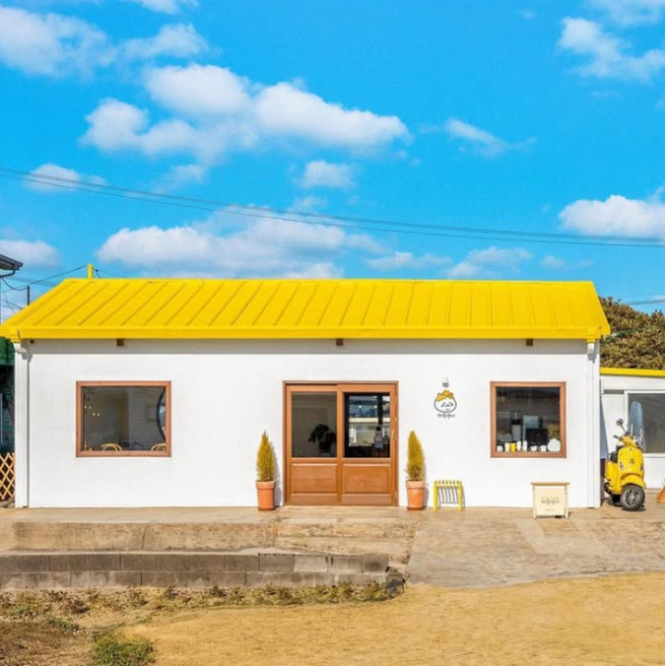 ig@jeju.meow ig@jeju.meow