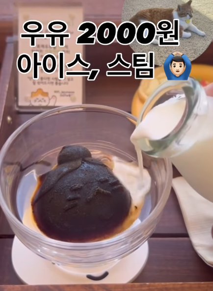 ig@jeju.meow ig@jeju.meow