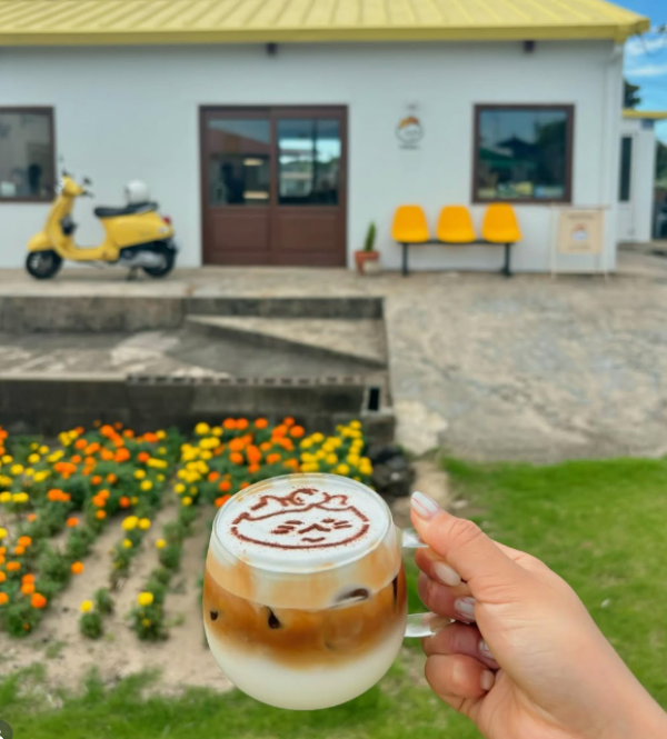ig@jeju.meow ig@jeju.meow
