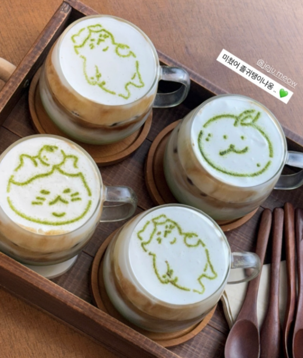 ig@jeju.meow ig@jeju.meow