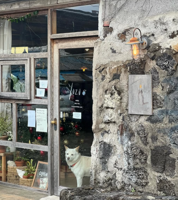 ig@cafe_yuzu ig@cafe_yuzu