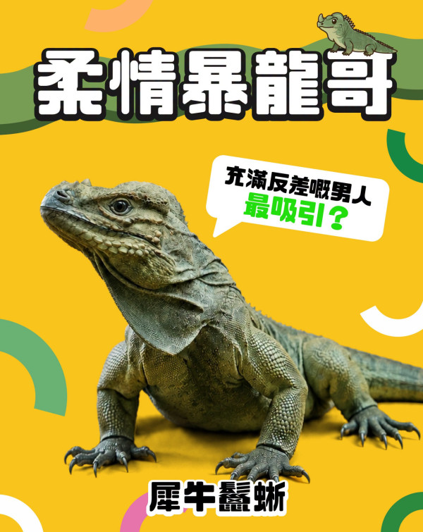 海洋公園全新展館「爬行探索基地」8.21開幕！直擊珍貴瀕危巨星+熊貓變色龍精品