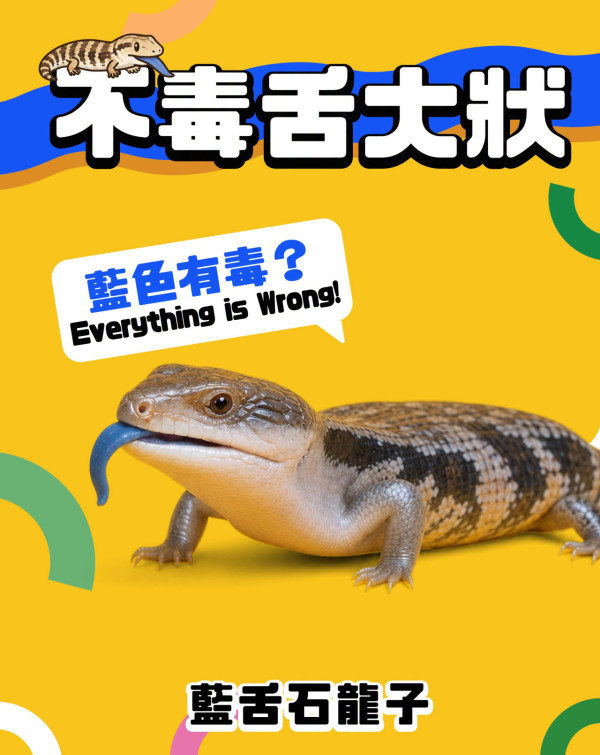 「戀愛腦診聊室」登陸南豐紗廠！免費玩愛情測驗查沉船指數+6大主題展區 週末加碼工作坊 （附報名連結）