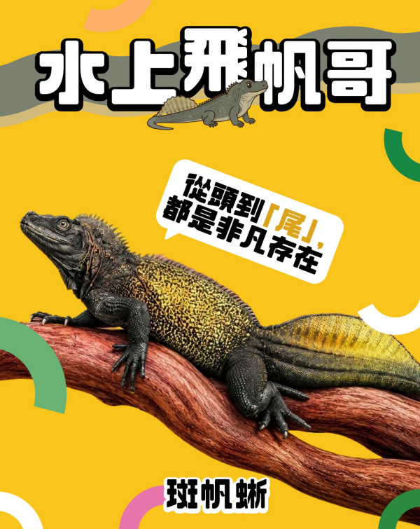 「戀愛腦診聊室」登陸南豐紗廠！免費玩愛情測驗查沉船指數+6大主題展區 週末加碼工作坊 （附報名連結）