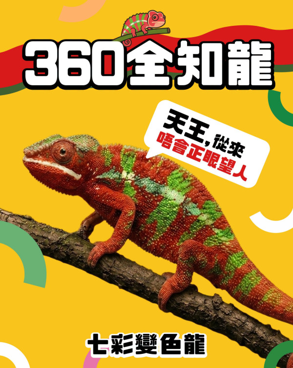 海洋公園全新展館「爬行探索基地」8.21開幕！直擊珍貴瀕危巨星+熊貓變色龍精品