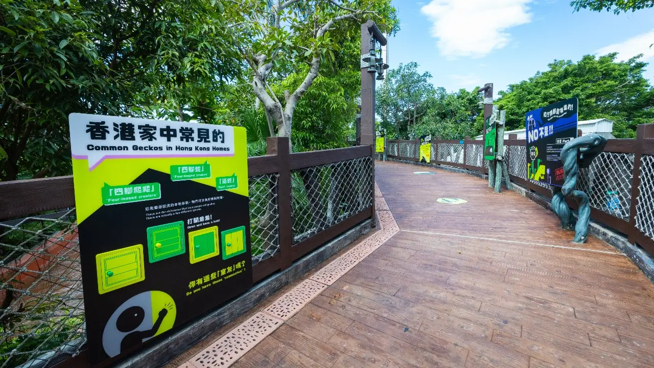 海洋公園全新展館「爬行探索基地」8.21開幕！直擊珍貴瀕危巨星+熊貓變色龍精品