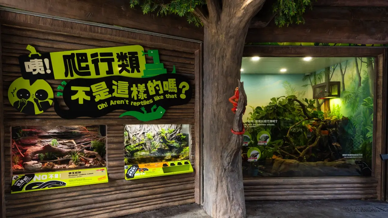 海洋公園全新展館「爬行探索基地」8.21開幕！直擊珍貴瀕危巨星+熊貓變色龍精品