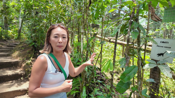 南美潮什麼2｜梁芷珮勇闖亞馬遜原住民部落！親試爬樹打獵兼食毒汁頂唔順：好苦 