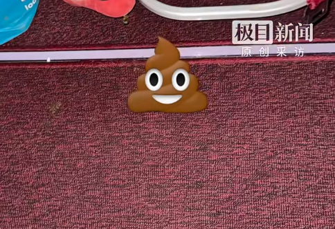 圖片來源:極目新聞 圖片來源:極目新聞