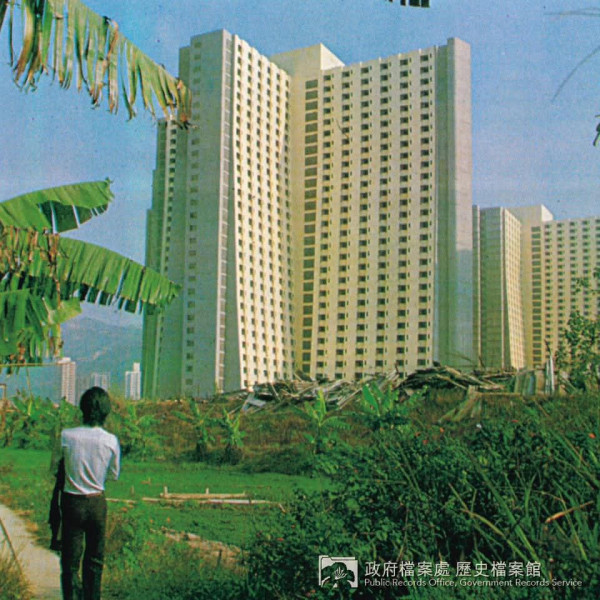 全港僅2條邨有梯形公屋！網民估因力學定採光？揭開房署「下闊上窄」建築真相