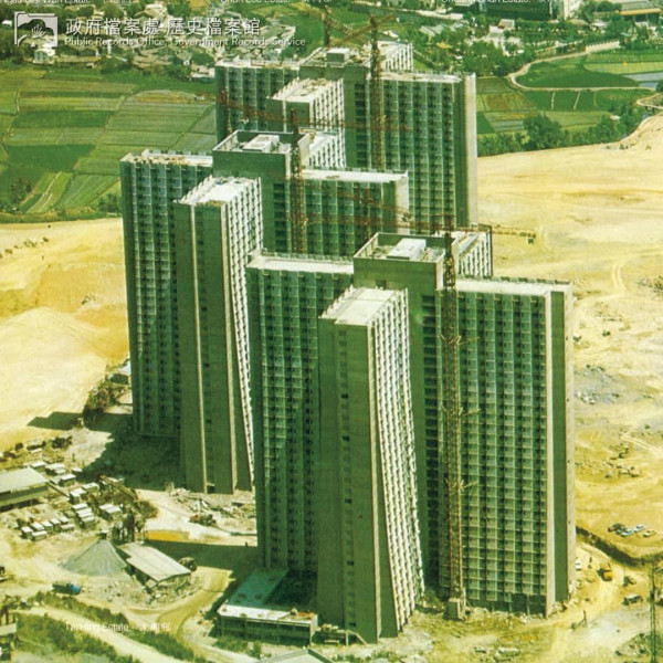 全港僅2條邨有梯形公屋！網民估因力學定採光？揭開房署「下闊上窄」建築真相