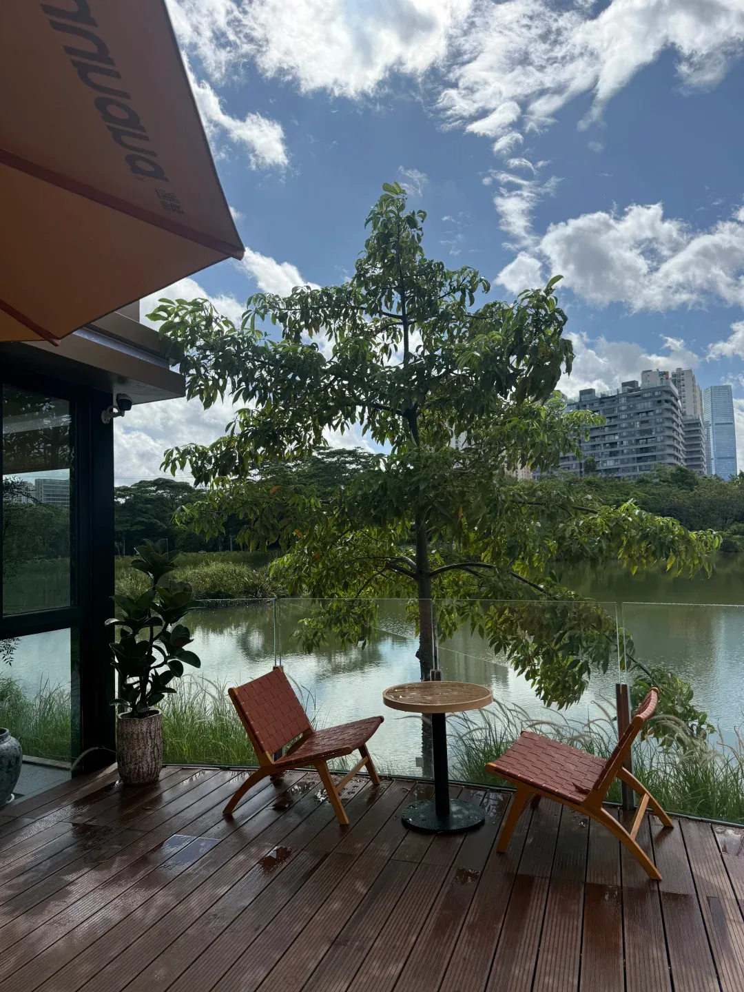 深圳親子好去處｜福田紅樹林公園全新湖景咖啡店！絕美自然景觀、湖邊看小烏龜 