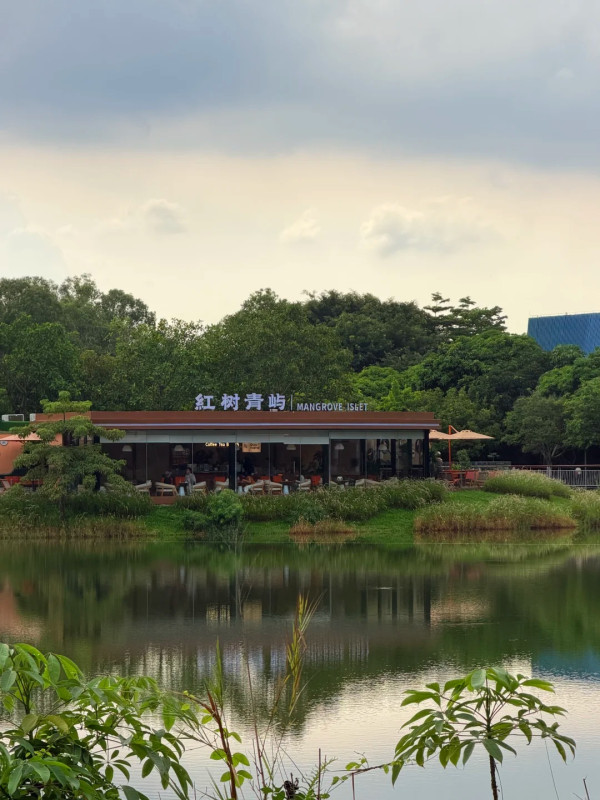 深圳親子好去處｜福田紅樹林公園全新湖景咖啡店！絕美自然景觀、湖邊看小烏龜 