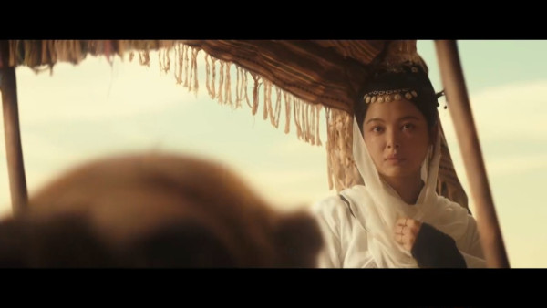 金色電視劇線上看|辛芷蕾首部武俠劇5大劇情看點!追劇日曆/演員陣容一覽