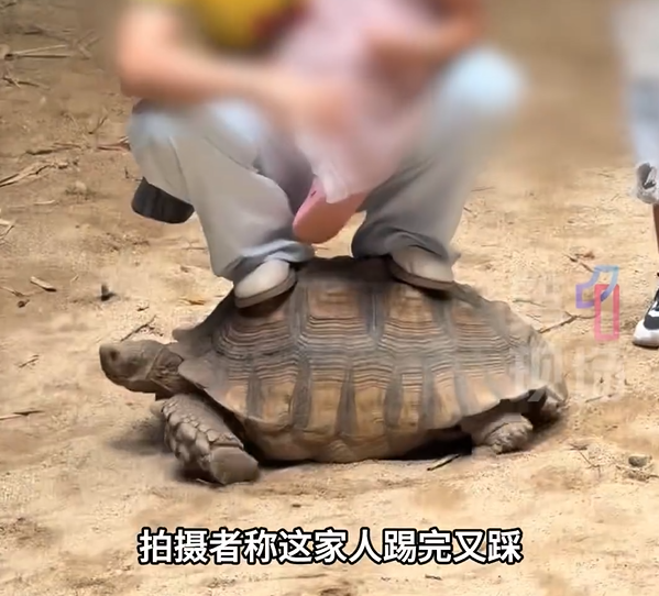 圖片來源：第一現場