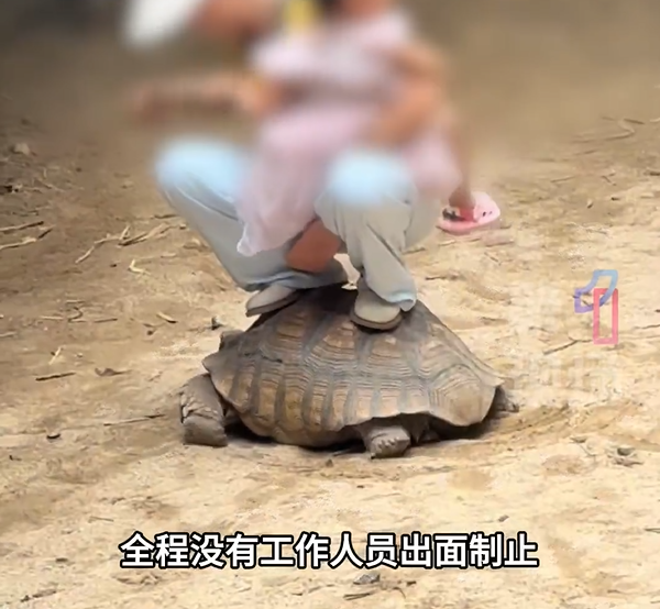 圖片來源：第一現場