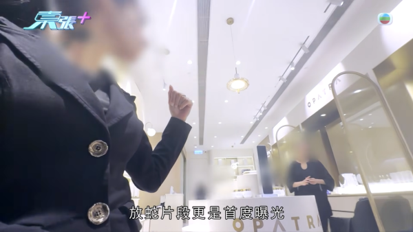 《東張》元朗獨家放蛇！連鎖美容店恐怖「高壓劏客」招數全曝光 海關拘捕後接連停業