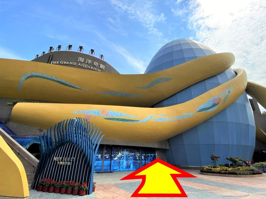 香港海洋公園零距離浮潛體驗！水中與珊瑚魚同游+親手觸摸鯊魚與鯆魚！附參加方法