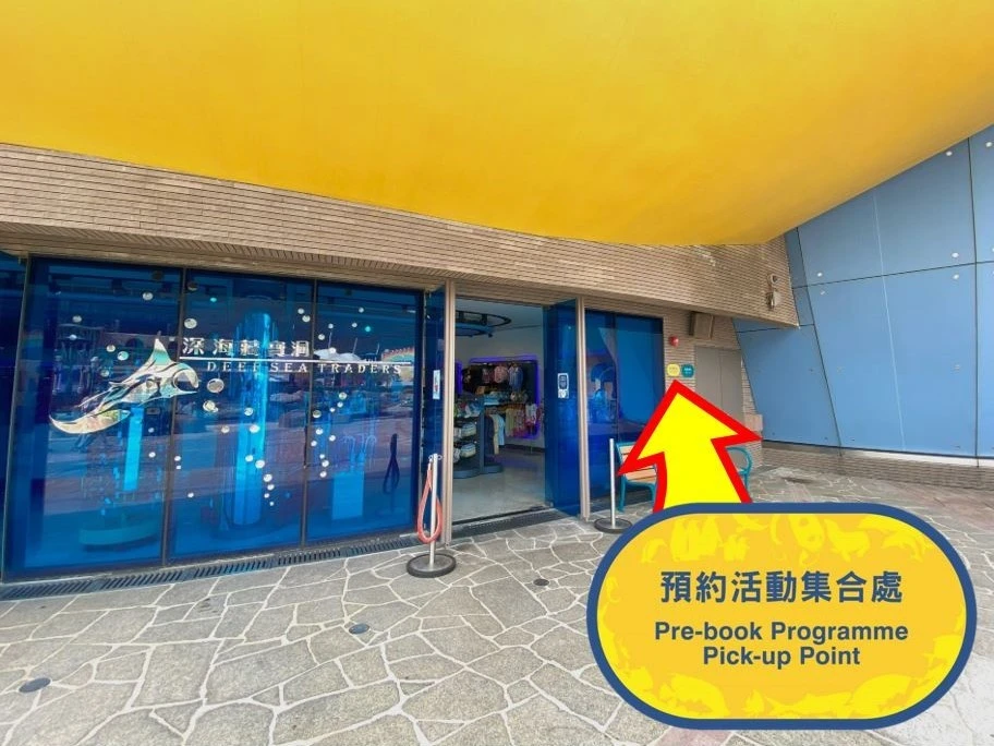香港海洋公園零距離浮潛體驗！水中與珊瑚魚同游+親手觸摸鯊魚與鯆魚！附參加方法
